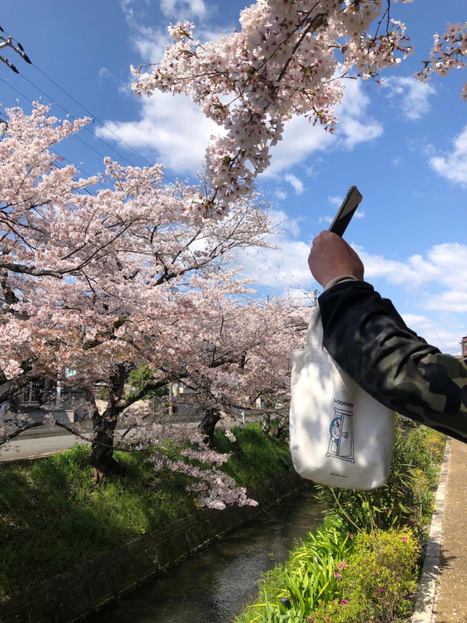 tsubame-ya Hotel Kyoto Bagian luar foto