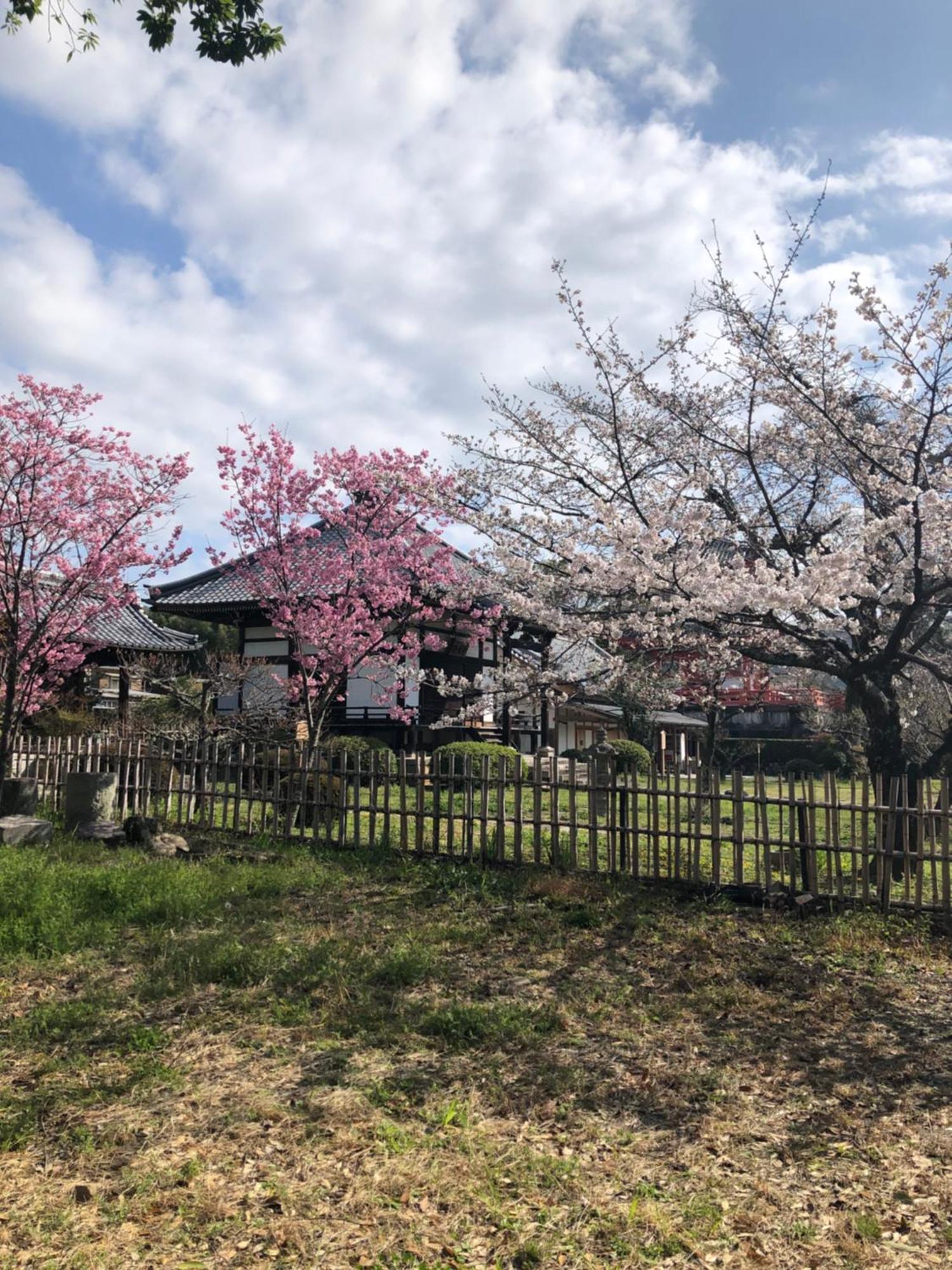tsubame-ya Hotel Kyoto Bagian luar foto