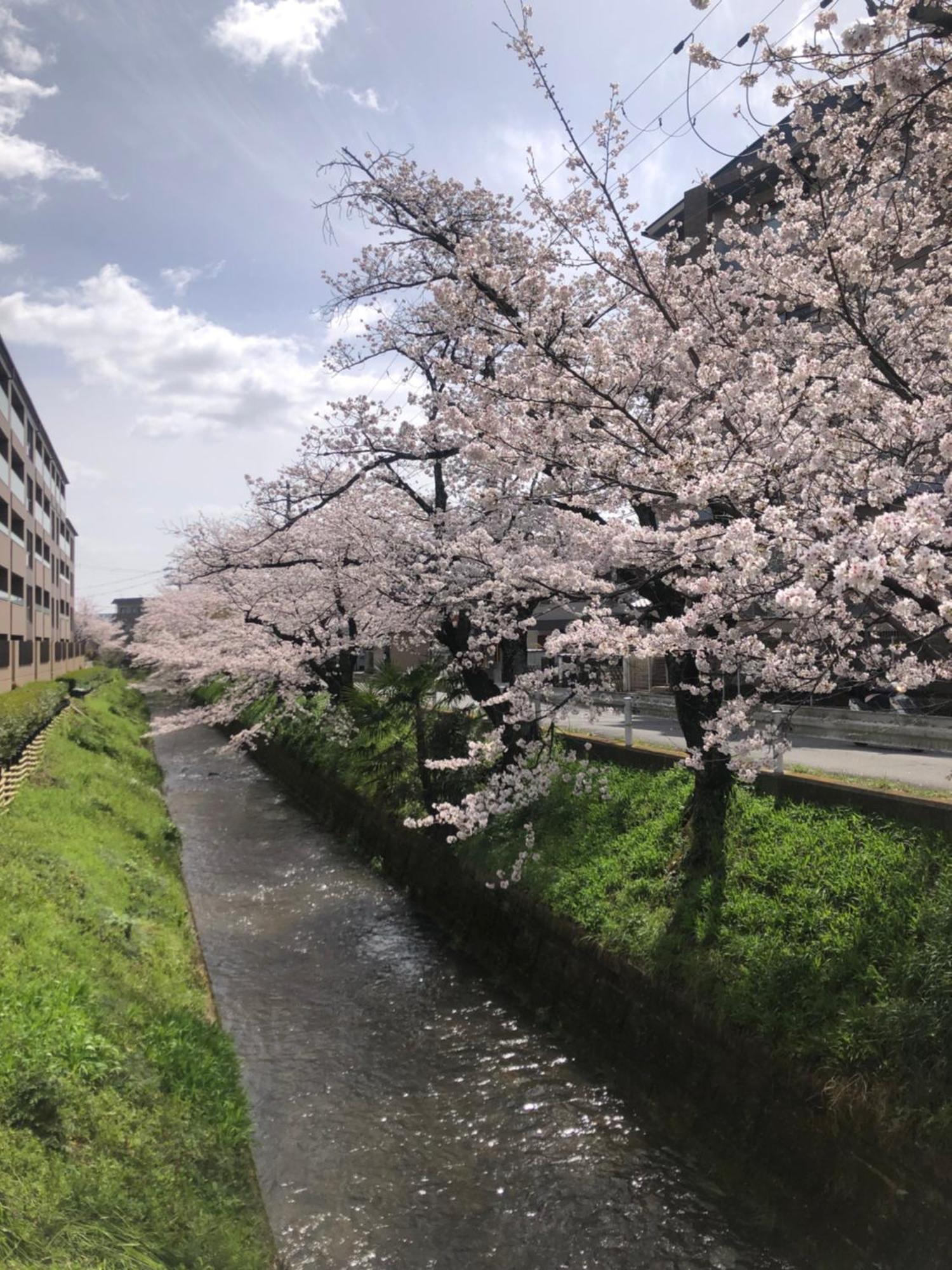 tsubame-ya Hotel Kyoto Bagian luar foto